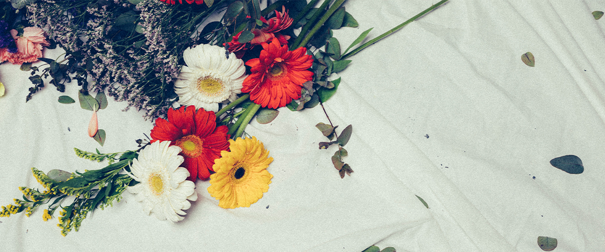 Royal Floraholland’s Turkey Strategy: A Best Practice For Market Entry