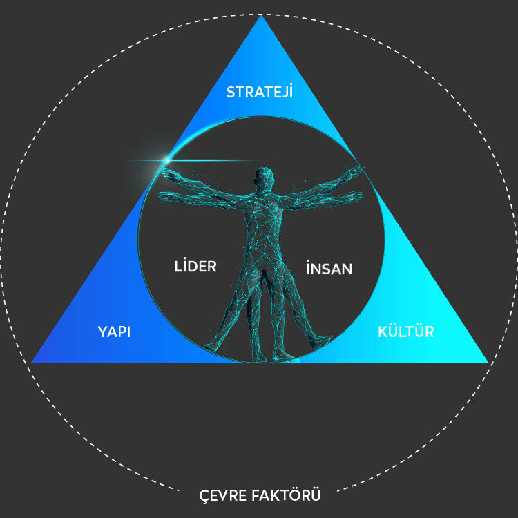 Vitruvian Animated Icon
