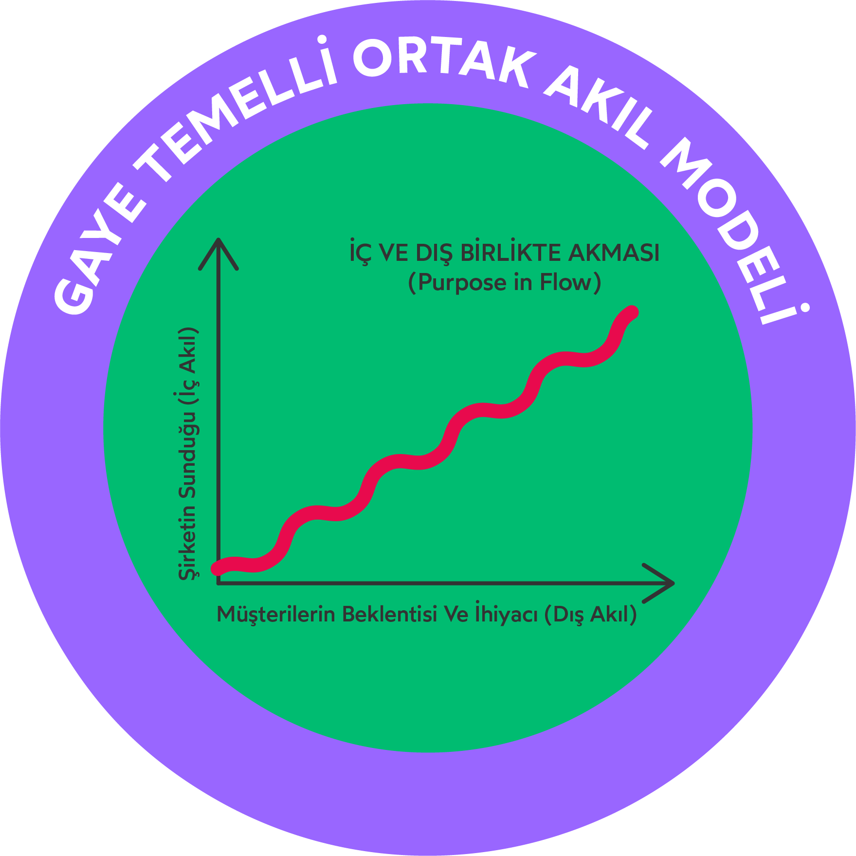 Ortak Akıl Şeması
